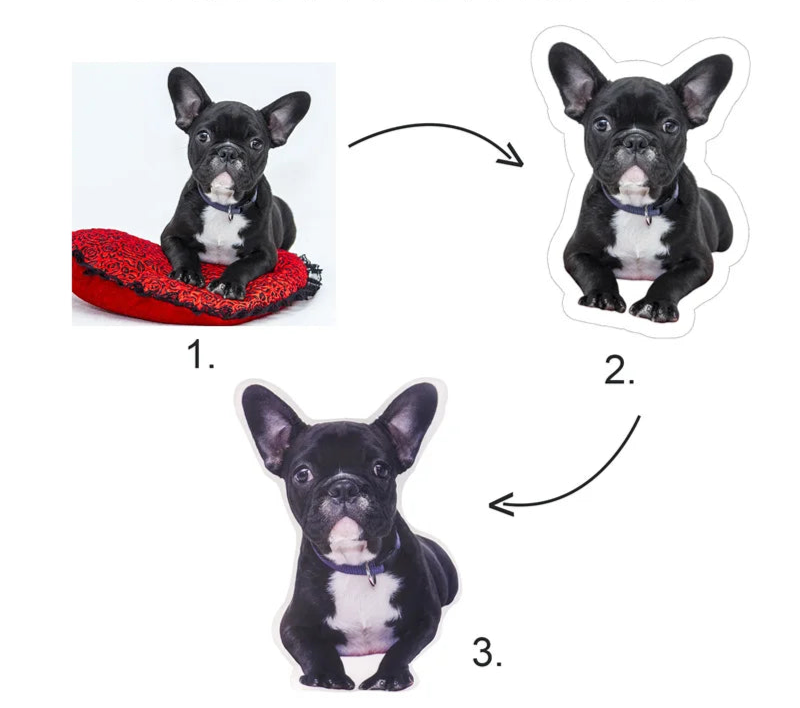 Personalised Pet Photo Cushion