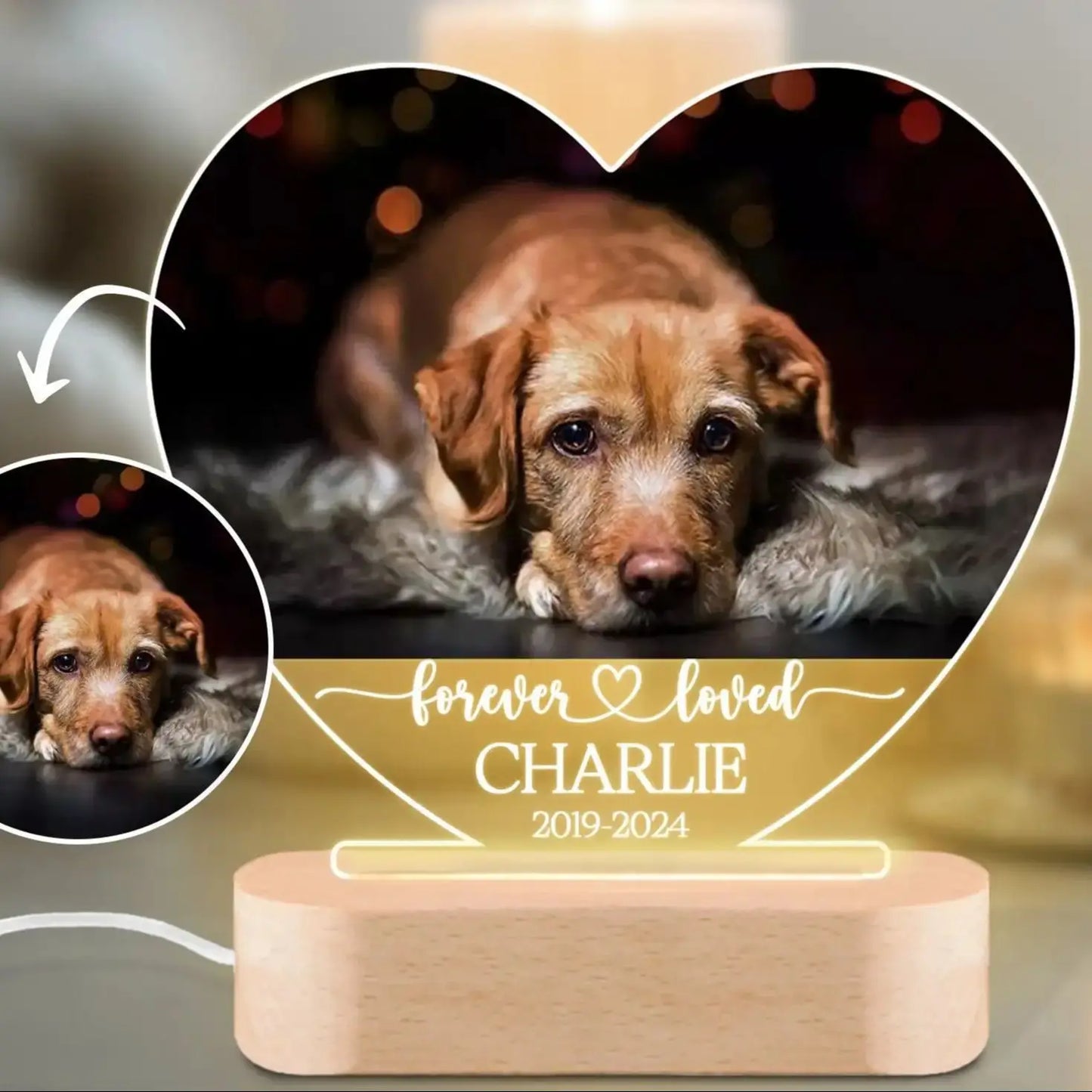 Custom Personalised Pet Night Light Photo Plaque
