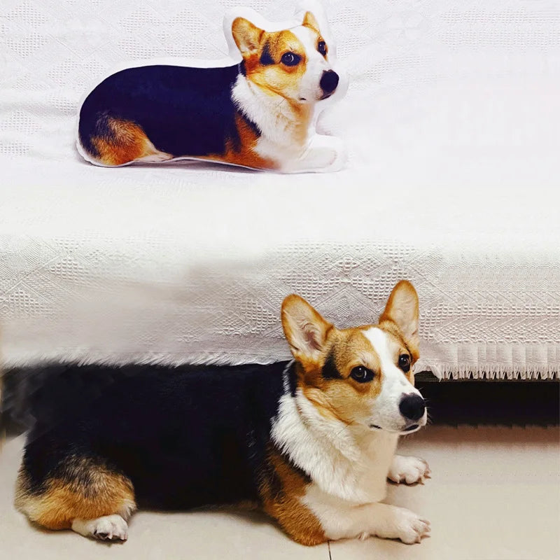 Personalised Pet Photo Cushion