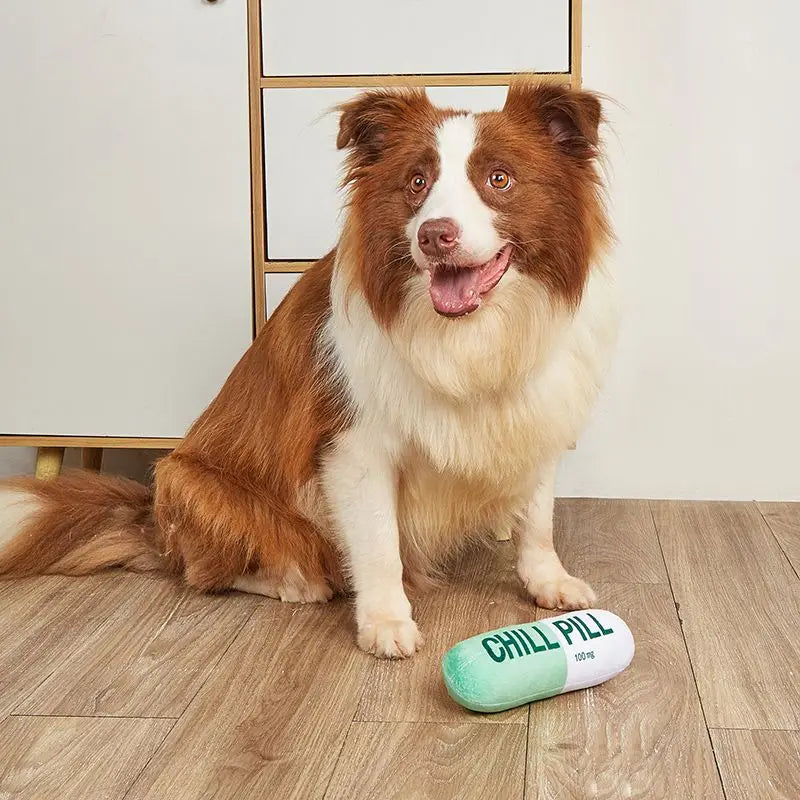 Chill Pill Plush Squeak Dog Toy